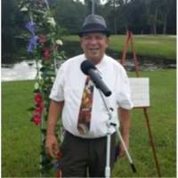 Nelson Champion Radio