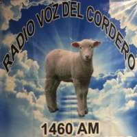 Radio Voz Del Cordero