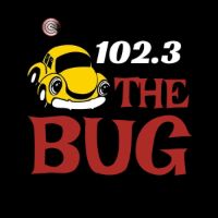102.3 The Bug